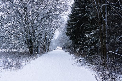 264293