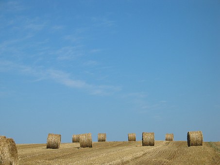 194708