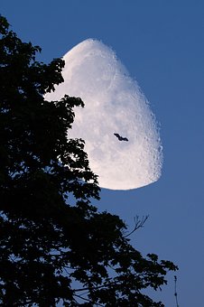 277838