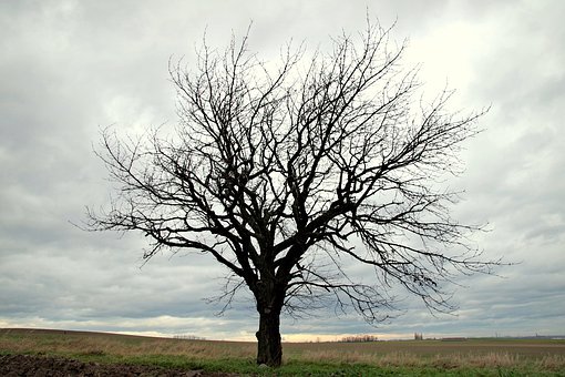 326752