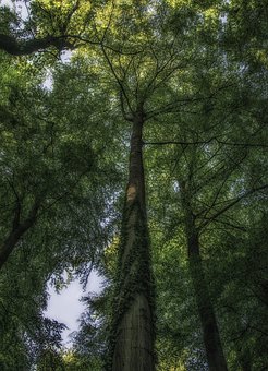 64125