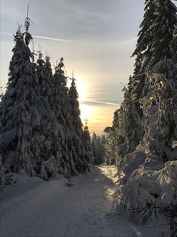 283418