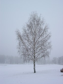 322792