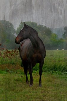 100656