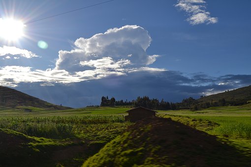 264829