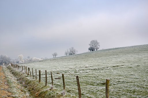 136355