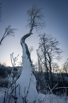 236438