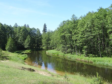 2004