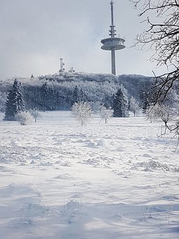 137019