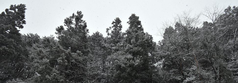100308