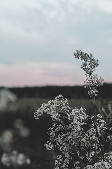 100339