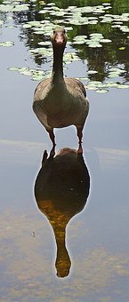 34960