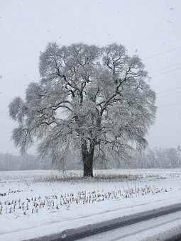 309286