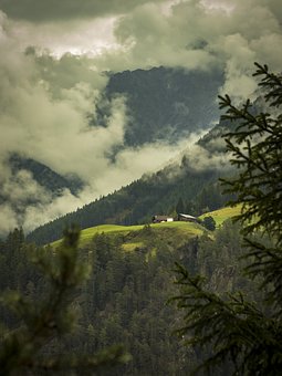 103781