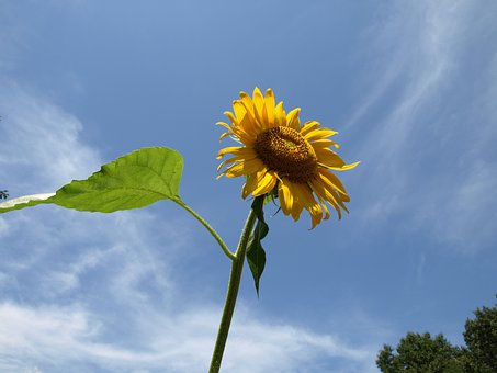 230500