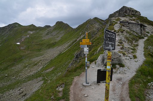 238902