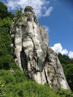 169917
