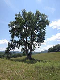 264305