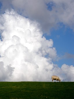 161392