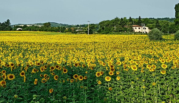 195037