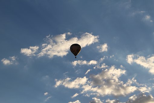 141481