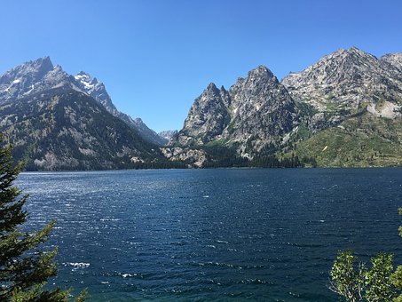 9020