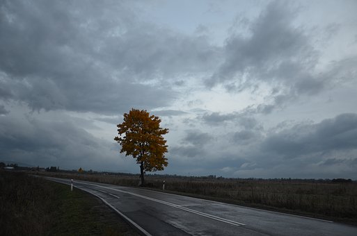 315078