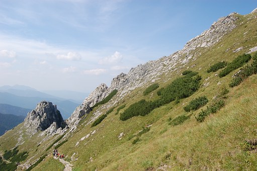 295017