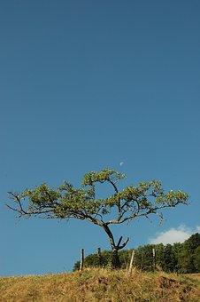 170867