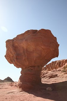 176833