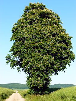85551