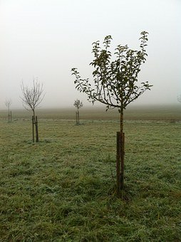 329326