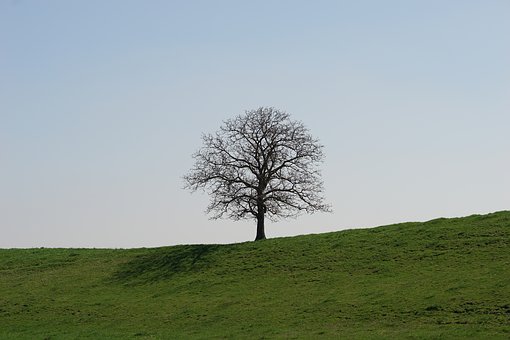135907