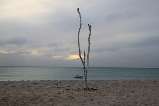266912