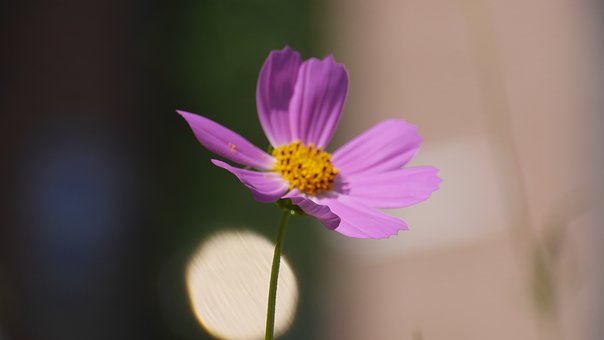 57429