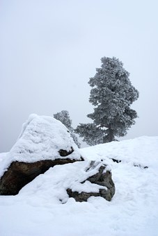 104631