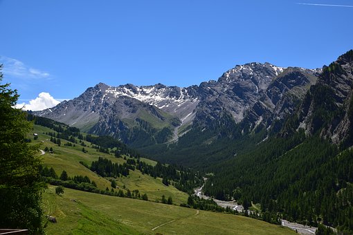 264397