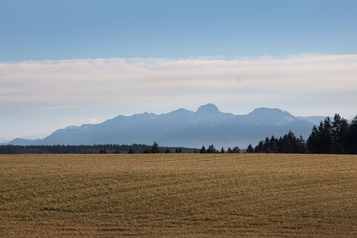 284954