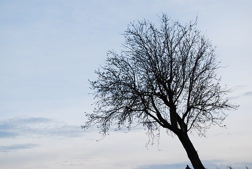 27455