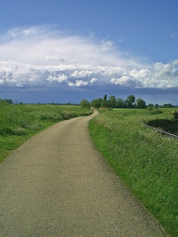 281881