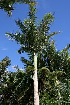 75649