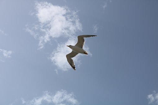 334730