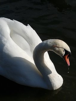 7113