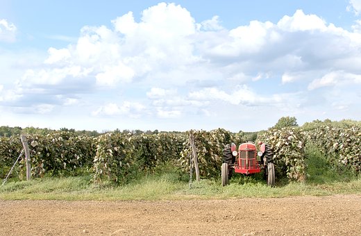 189768