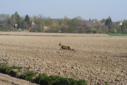239750