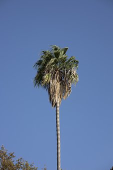 117199