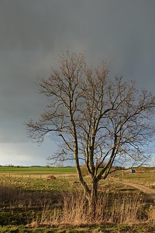 238632