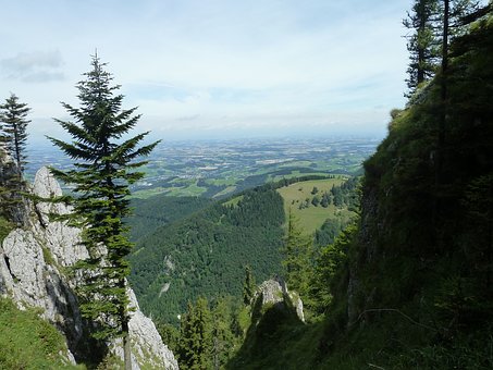 20043