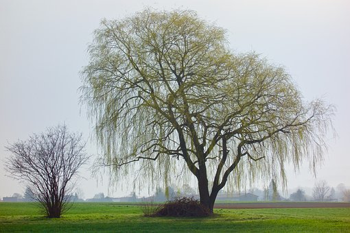 335170