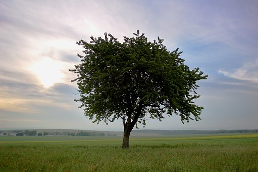 314860
